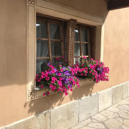 Brozol 公寓 利维尼奥